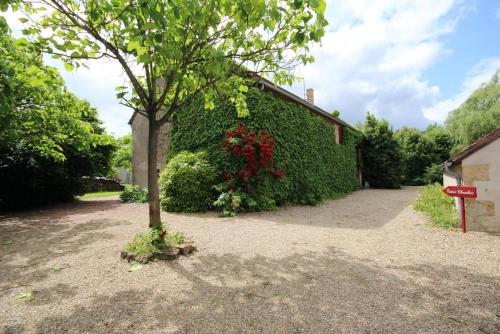 a tree in front of a building with a hedge at La Chaume en Loire in Devay