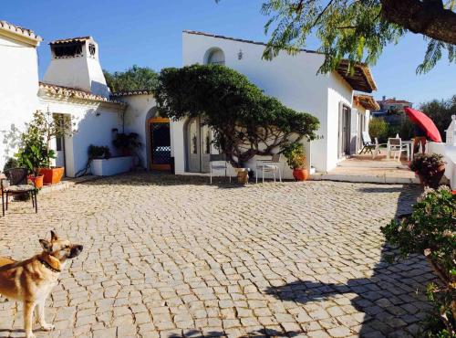Quinta Martins