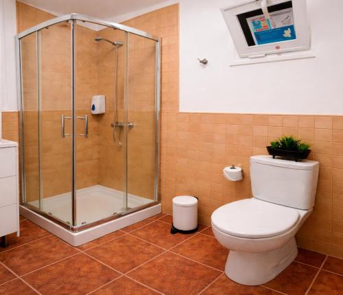a bathroom with a shower and a white toilet at Teide & Mar Vistas in Tacoronte