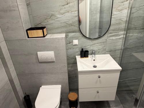 a bathroom with a sink and a toilet and a mirror at Apart Apartamenty Łowiecka 4A Free Parking in Leszno