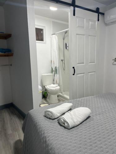 a bedroom with a bed and a bathroom with a toilet at Cactus & Cove Villa in Santa Cruz