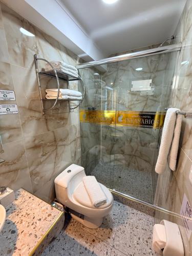 a bathroom with a toilet and a shower at Hotel-Apartment INKASABIOS in Cusco