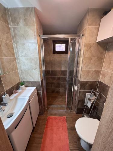 a bathroom with a shower and a sink and a toilet at Chalupa u Jožka in Betlanovce