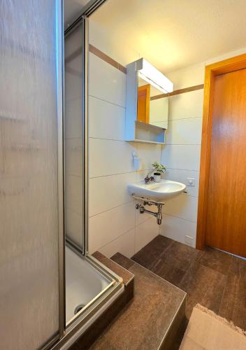 a bathroom with a shower and a sink at Ca' dal Bagatt Losone Campagna in Losone