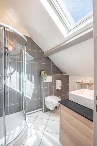 a bathroom with a shower toilet and a sink at Le Carre Saint Pierre - Chambres d'hôtes in Marey-lès-Fussey