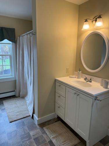 a bathroom with a sink and a mirror at The Manor Bed and Breakfast in Newcastle