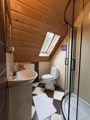 a bathroom with a toilet and a sink and a shower at ANTON Tenczyn in Tenczyn