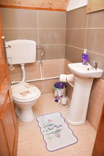 a bathroom with a toilet and a sink at Villa Boris in Junčev Do