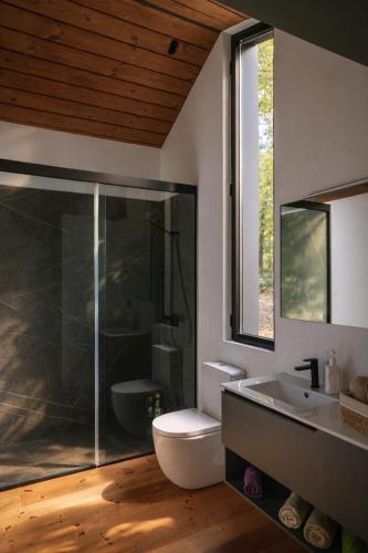 a bathroom with a toilet and a sink and a shower at Cabañas en Ribeira Sacra, Borbela de Luz in Villar de Ordelles