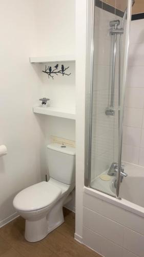 a white bathroom with a toilet and a shower at Studio détente proche Sanctuaires in Lourdes