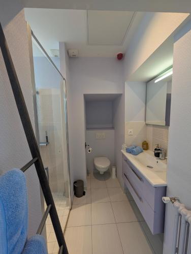 a bathroom with a toilet and a sink and a mirror at Château de Briançon, The Originals Relais in Bauné