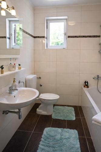 a bathroom with a sink and a toilet and a tub at Villa Kapitulac in Grižane