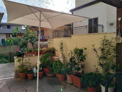 loft indipendente con giardino a Roma Tor vergata