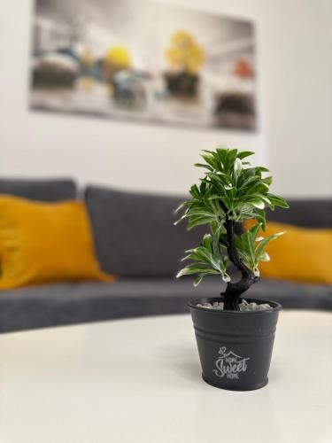 Et opholdsområde på Sea-Shell Apartment