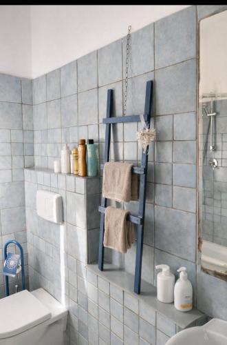 a bathroom with a blue towel rack next to a toilet at L'isola felice in Cecina