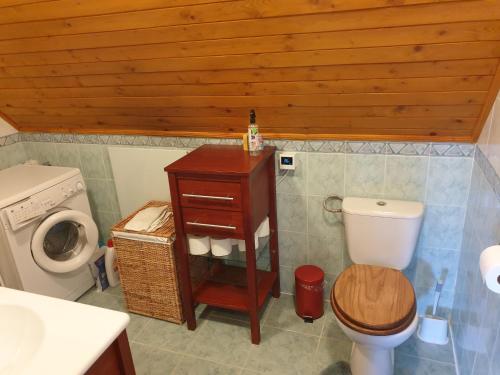 a bathroom with a toilet and a sink and a washing machine at Chalupa 58 in Štiavnické Bane