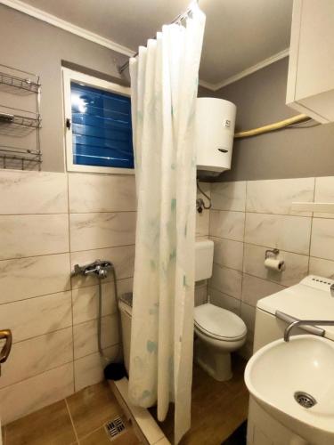 a bathroom with a toilet and a shower curtain at Apartments Skipper bay Kumbor in Herceg-Novi