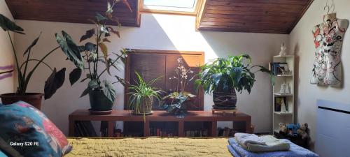 a room with potted plants on a table at Le Grenier d'Artiste in Laguépie