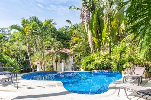 a swimming pool with chairs and palm trees at Villa Bruga en Samara Rocks in Sámara
