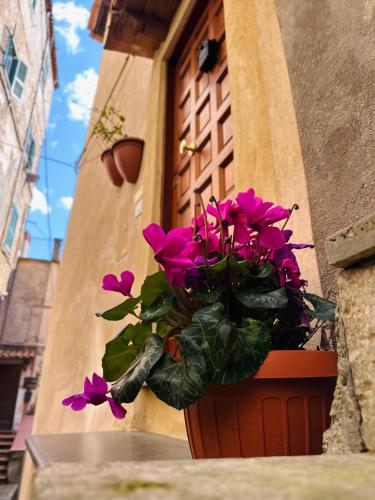 a pot of purple flowers in front of a building at Il Rifugio Nel Vicolo in Subiaco
