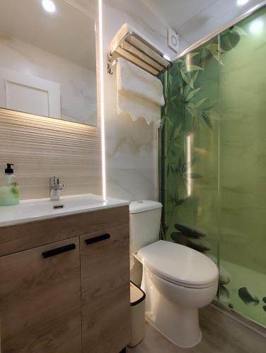 a bathroom with a toilet and a sink and a shower at Albatros centro Lucena in Lucena