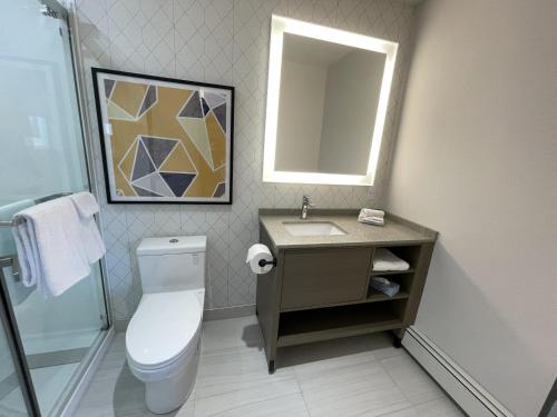 a bathroom with a toilet and a sink and a mirror at Le Grand Hotel St-Georges in Saint-Georges