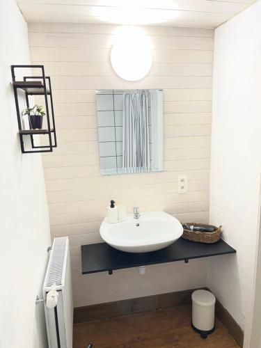 a bathroom with a sink and a mirror at Aux Sabots du Temps in Vielsalm