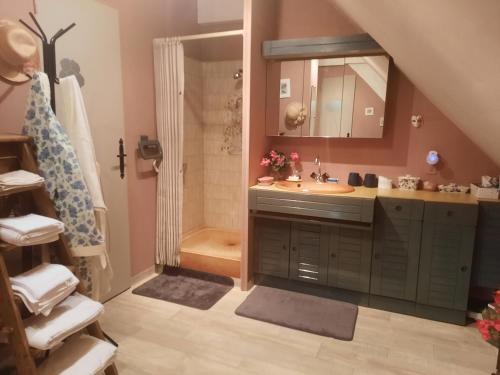 a bathroom with a sink and a shower at Chambre d hôte les bosquets in Caugé