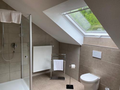 a bathroom with a shower toilet and a skylight at Am Irrenbächle in Albstadt