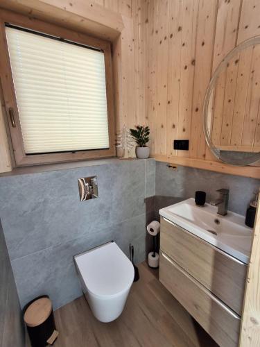 a bathroom with a toilet and a sink and a mirror at Potokowe Zacisze in Zakopane