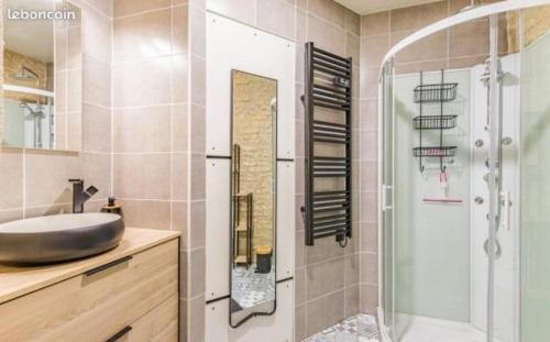 a bathroom with a sink and a shower with a mirror at Gîte in Avanton