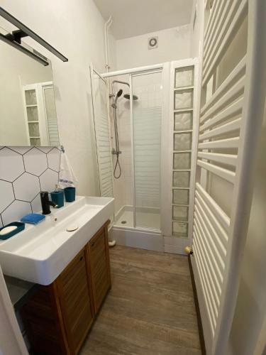 a bathroom with a white sink and a shower at Logement proche centre-ville in Bourges