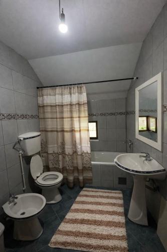 a bathroom with a toilet and a sink and a tub at Highland guest house Vuthaj in Vusanje