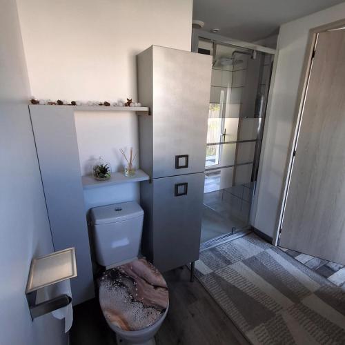 a bathroom with a toilet and a glass shower at maison de vacances gite duplex in Erquy