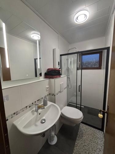 a bathroom with a sink and a toilet and a mirror at Ferienwohnung Waldblick in Winterberg
