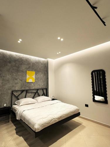 a bedroom with a large bed in a room at DuoNest Gray Loft Studio in Tirana