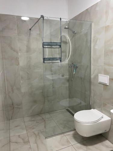 a bathroom with a toilet and a glass shower at Santorini Drimadh Apartment in Gjilek