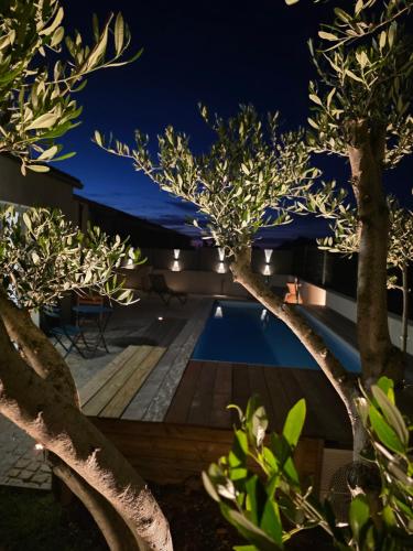 una piscina di notte con alberi in primo piano di Villa Noel a Calenzana