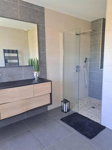 a bathroom with a shower and a sink at Location maison confortable et cozi in Cazaux