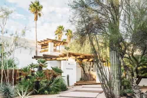 a resort with palm trees and a building at The JTH Tucson in Tucson