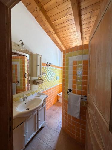 a bathroom with a sink and a mirror and a shower at Villa Veronica in Sedini