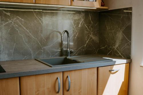 a kitchen with a sink and a counter at Apartment Konavec in Kobarid