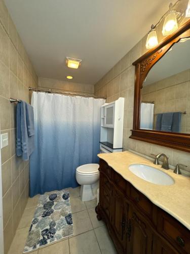 a bathroom with a sink and a toilet and a mirror at Serenity Cove in Hiawassee