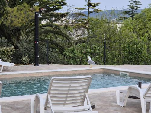 a seagull standing next to a pool with two chairs at Apartments Natalija1 -Krk in Krk