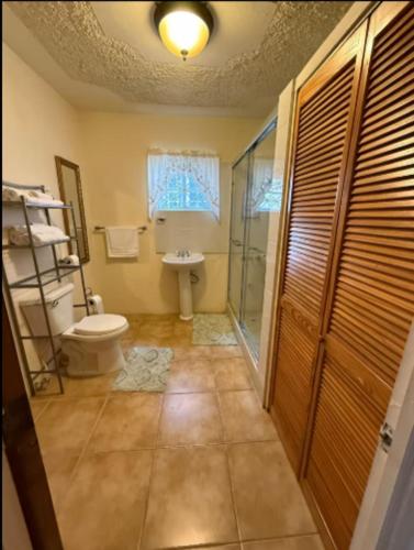 a bathroom with a toilet and a shower and a sink at Oceanview Retreat in Bull Bay