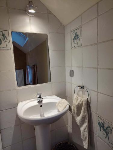 a bathroom with a white sink and a mirror at Huis van Rooi Willebringen in Boutersem