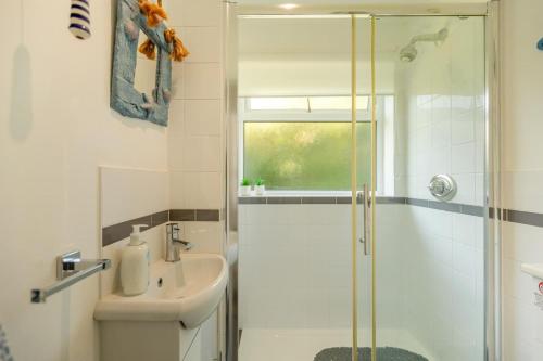 a bathroom with a shower and a sink at 2 Bed in Brixham oc-57244 in Brixham