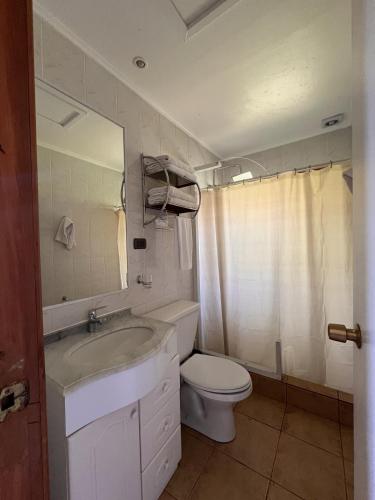 a bathroom with a sink and a toilet and a mirror at Cabaña Castaño in Villarrica