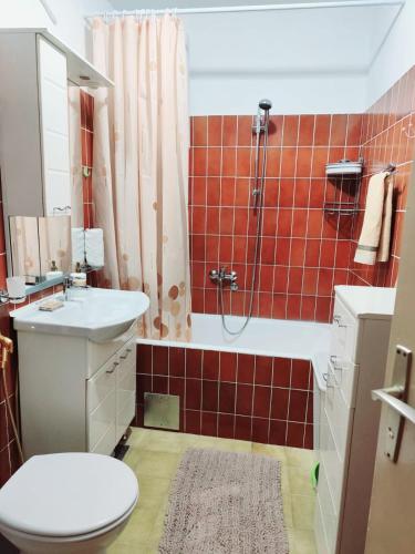 a bathroom with a toilet and a sink and a shower at Sunshine Apartment in Dobrota