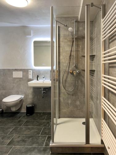 a bathroom with a shower and a toilet and a sink at Hearts Home Hahnenklee in Hahnenklee-Bockswiese